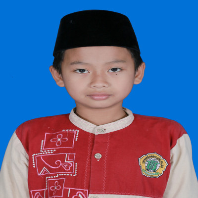 foto profil Muhammad Ainun Najib